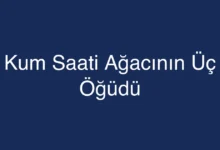 Kum Saati Ağacının Üç Öğüdü