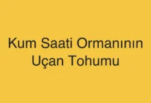 Kum Saati Ormanının Uçan Tohumu
