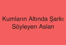 Kumların Altında Şarkı Söyleyen Aslan