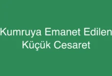 Kumruya Emanet Edilen Küçük Cesaret