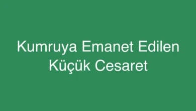 Kumruya Emanet Edilen Küçük Cesaret