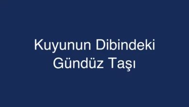 Kuyunun Dibindeki Gündüz Taşı
