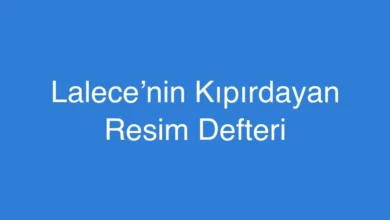 Lalece’nin Kıpırdayan Resim Defteri