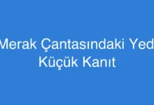 Merak Çantasındaki Yedi Küçük Kanıt