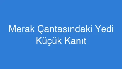 Merak Çantasındaki Yedi Küçük Kanıt