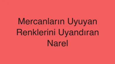 Mercanların Uyuyan Renklerini Uyandıran Narel