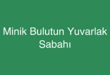 Minik Bulutun Yuvarlak Sabahı