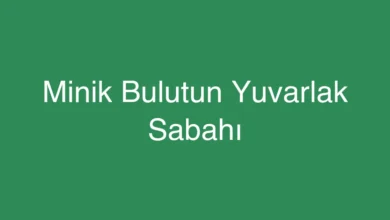 Minik Bulutun Yuvarlak Sabahı