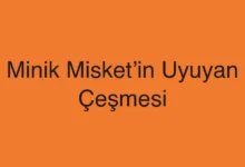 Minik Misket’in Uyuyan Çeşmesi