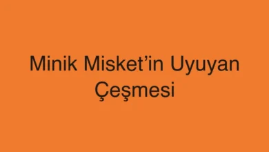Minik Misket’in Uyuyan Çeşmesi