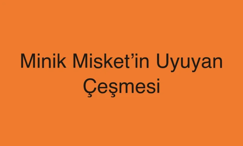 Minik Misket’in Uyuyan Çeşmesi