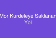 Mor Kurdeleye Saklanan Yol