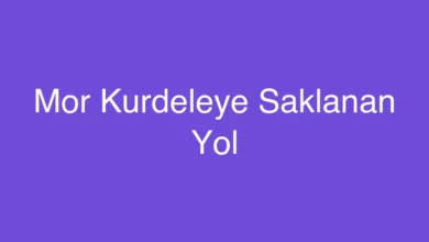 Mor Kurdeleye Saklanan Yol