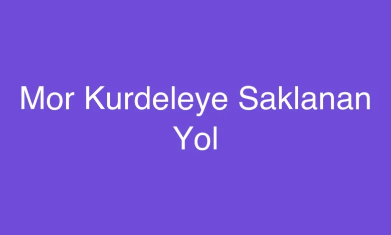 Mor Kurdeleye Saklanan Yol