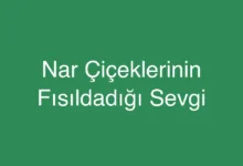 Nar Çiçeklerinin Fısıldadığı Sevgi