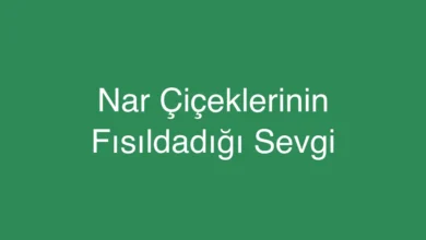 Nar Çiçeklerinin Fısıldadığı Sevgi