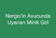Nergis’in Avucunda Uyanan Minik Göl