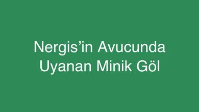 Nergis’in Avucunda Uyanan Minik Göl