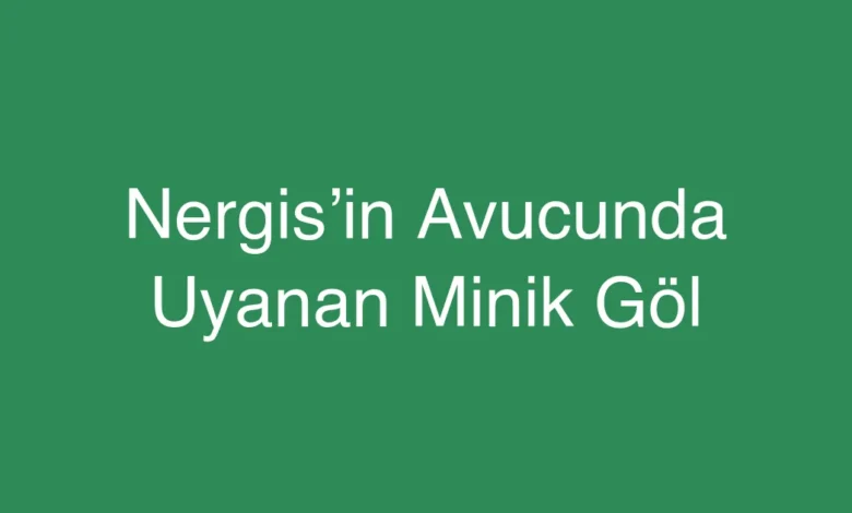 Nergis’in Avucunda Uyanan Minik Göl