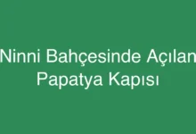 Ninni Bahçesinde Açılan Papatya Kapısı