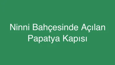 Ninni Bahçesinde Açılan Papatya Kapısı