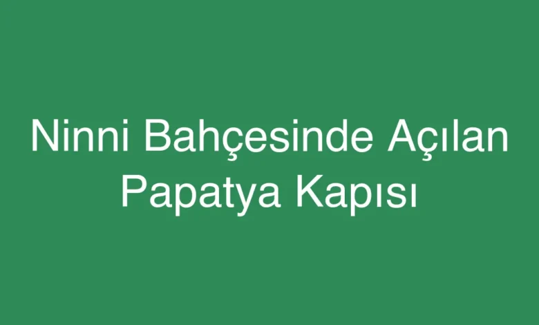 Ninni Bahçesinde Açılan Papatya Kapısı