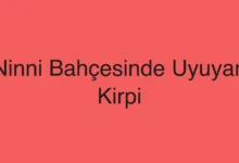 Ninni Bahçesinde Uyuyan Kirpi