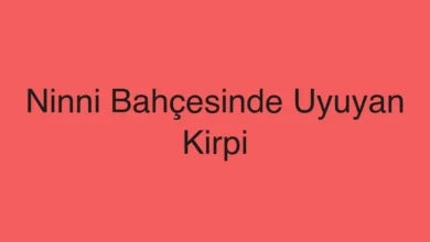 Ninni Bahçesinde Uyuyan Kirpi
