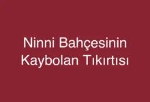 Ninni Bahçesinin Kaybolan Tıkırtısı