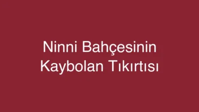 Ninni Bahçesinin Kaybolan Tıkırtısı