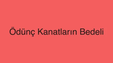Ödünç Kanatların Bedeli