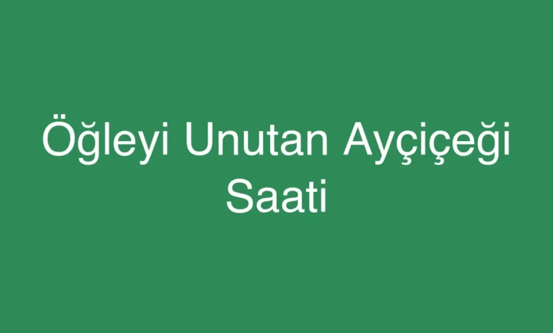 Öğleyi Unutan Ayçiçeği Saati