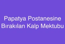 Papatya Postanesine Bırakılan Kalp Mektubu