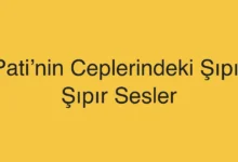 Pati’nin Ceplerindeki Şıpır Şıpır Sesler