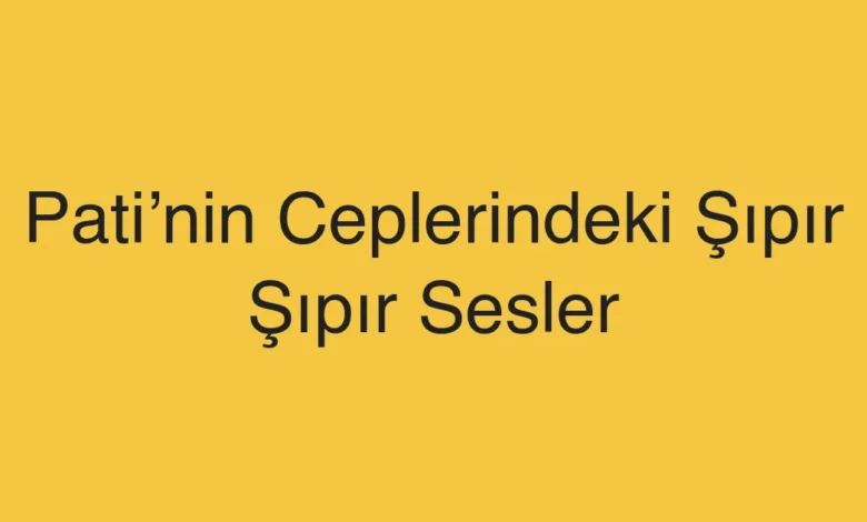 Pati’nin Ceplerindeki Şıpır Şıpır Sesler
