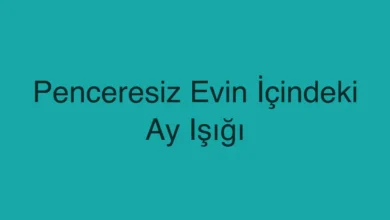 Penceresiz Evin İçindeki Ay Işığı