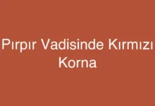 Pırpır Vadisinde Kırmızı Korna