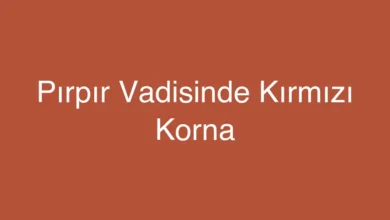 Pırpır Vadisinde Kırmızı Korna