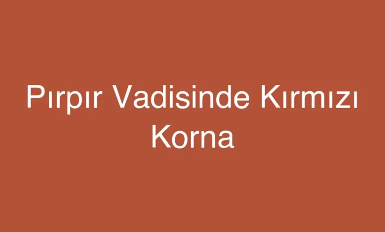Pırpır Vadisinde Kırmızı Korna