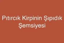 Pıtırcık Kirpinin Şıpıdık Şemsiyesi