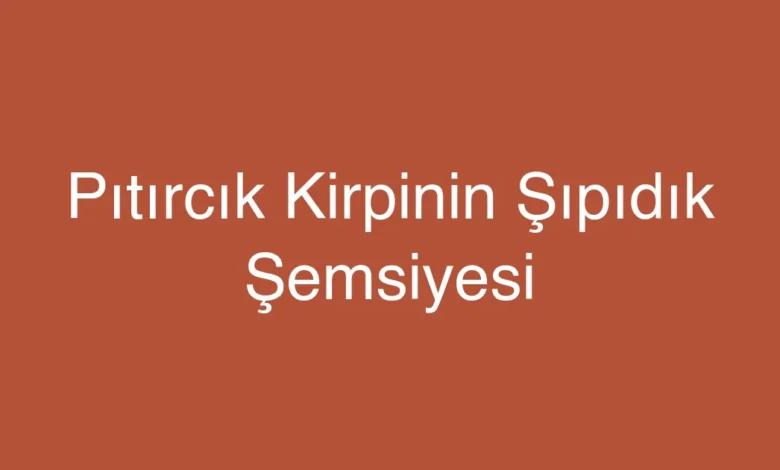 Pıtırcık Kirpinin Şıpıdık Şemsiyesi