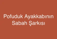 Pofuduk Ayakkabının Sabah Şarkısı