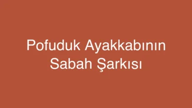 Pofuduk Ayakkabının Sabah Şarkısı