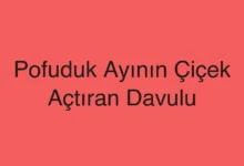 Pofuduk Ayının Çiçek Açtıran Davulu