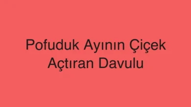 Pofuduk Ayının Çiçek Açtıran Davulu