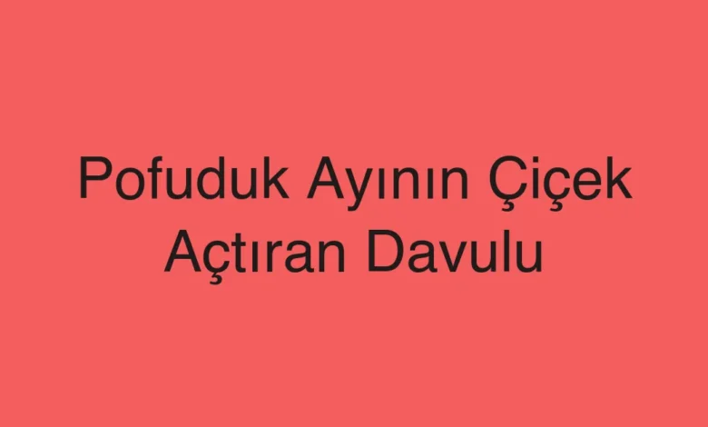 Pofuduk Ayının Çiçek Açtıran Davulu