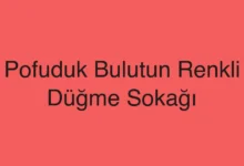 Pofuduk Bulutun Renkli Düğme Sokağı