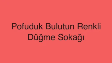 Pofuduk Bulutun Renkli Düğme Sokağı