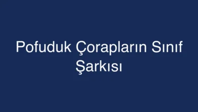 Pofuduk Çorapların Sınıf Şarkısı