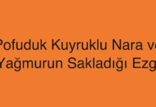 Pofuduk Kuyruklu Nara ve Yağmurun Sakladığı Ezgi